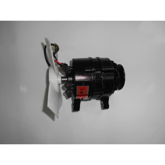 Генератор DW244B / Шифенг 244 (JF11C, 350W)